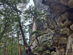 Östlicher Feldkopf