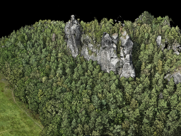 Östlicher Feldkopf