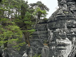 Waltersdorfer Horn